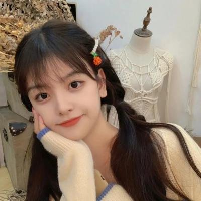 城市猎人：保镖密令